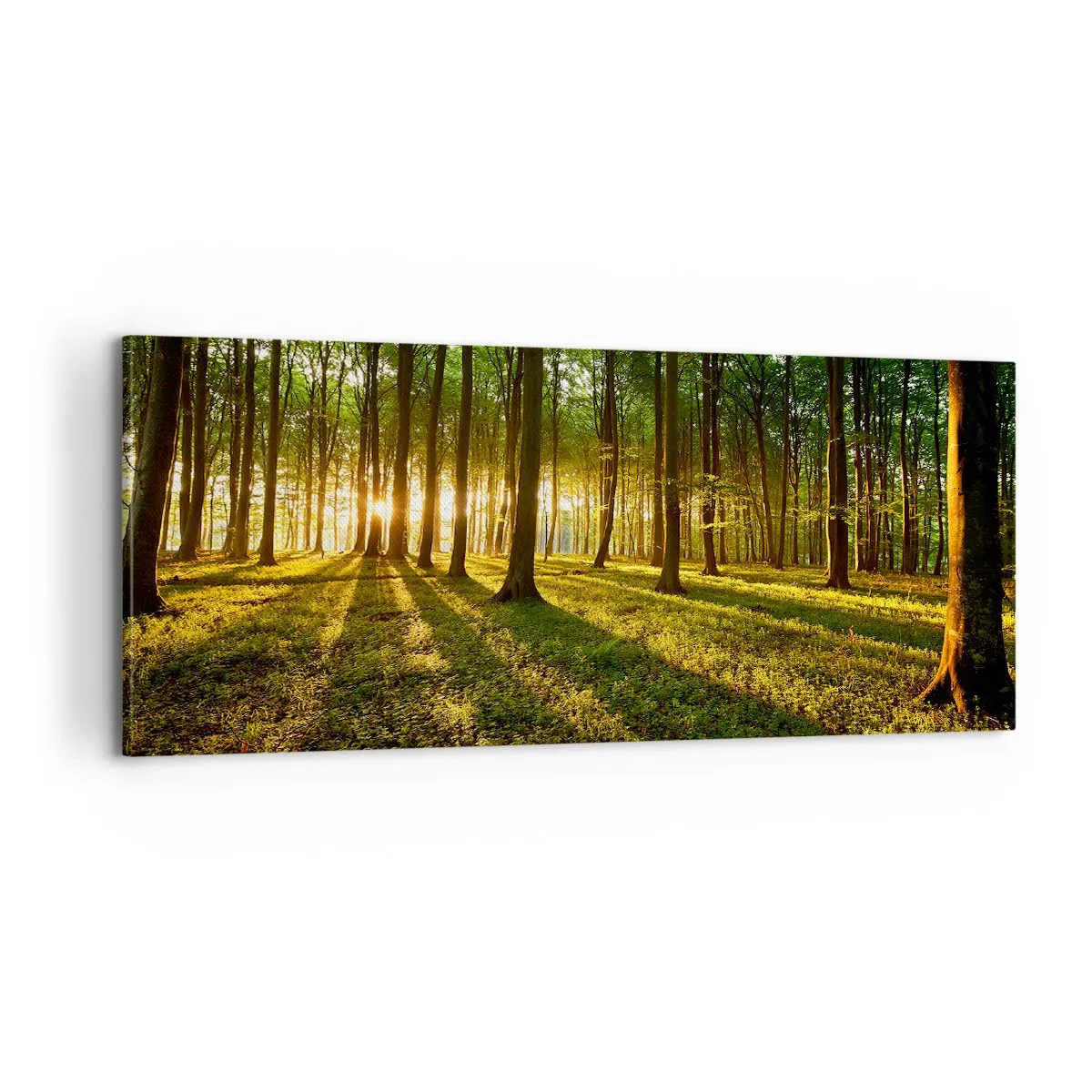 Cuadro sobre lienzo - Impresión de Imagen - Una fotografía de todos los manantiales - 100x40 cm