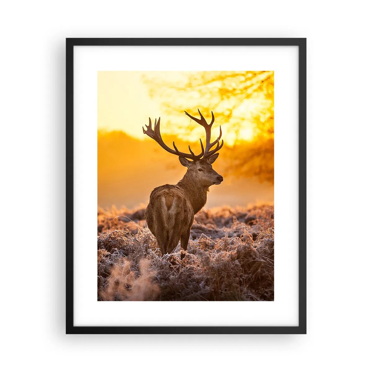 Póster en marco negro - Rey del bosque de otoño - 40x50 cm
