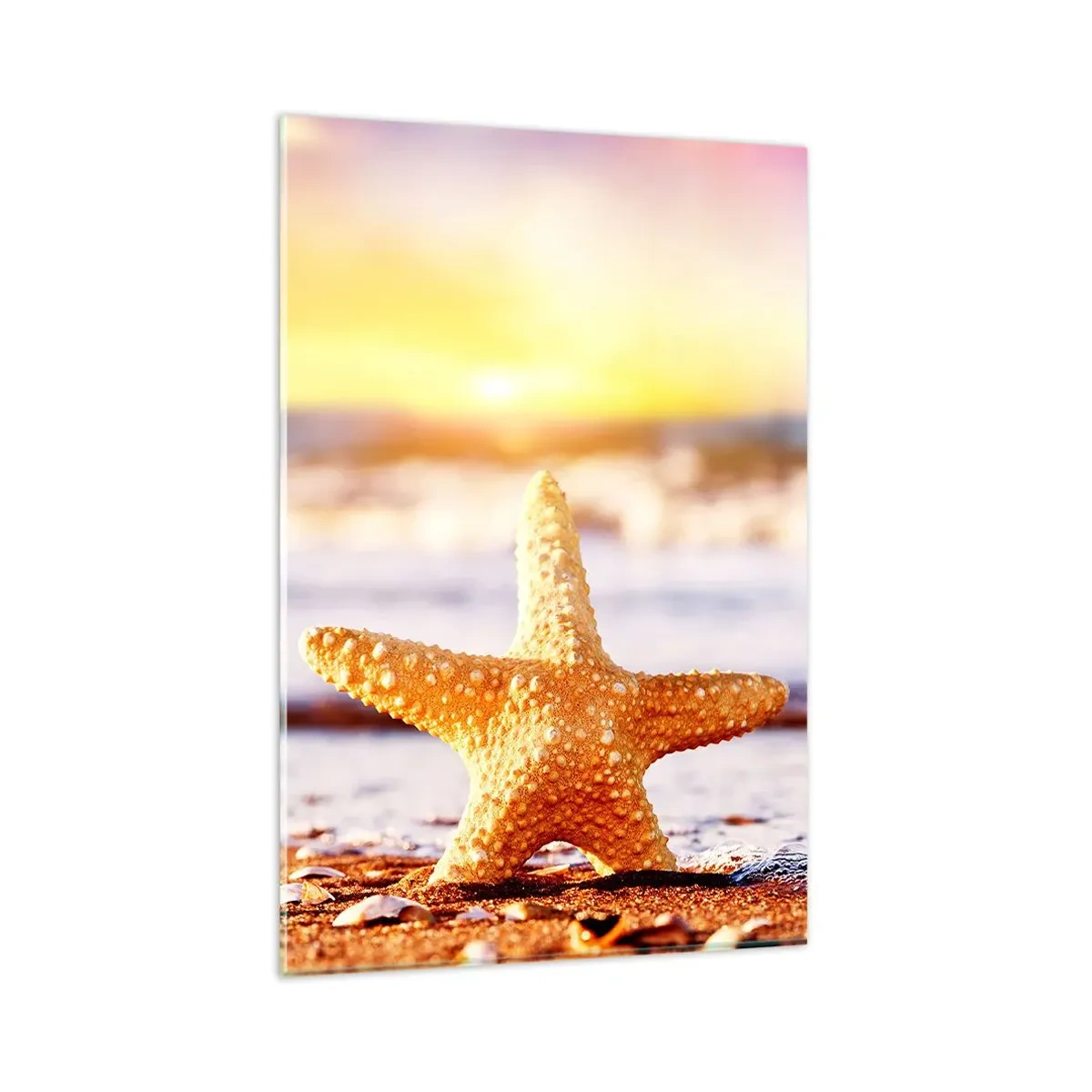 Cuadro sobre vidrio - Impresiones sobre Vidrio - Una estrella de mar en una playa de arena bajo el resplandor del sol poniente. - 80x120cm - Regalo del mar - Decoración de pared moderna para salón y dormitorio ARTTOR