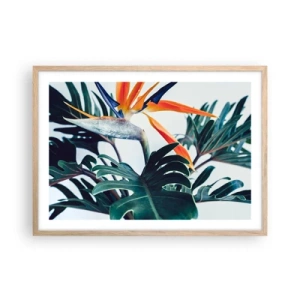 Póster en marco roble claro - La jaula del pájaro colorido - 70x50 cm