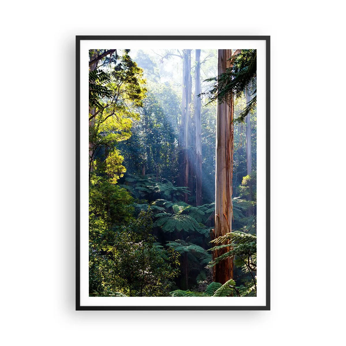 Póster en marco negro - Un cuento de hadas del bosque - 70x100 cm