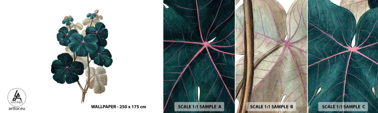 Muestra De Fotomural Standard Eco - De un viejo herbario - Planta, Hojas, Botánica - 100x30 cm