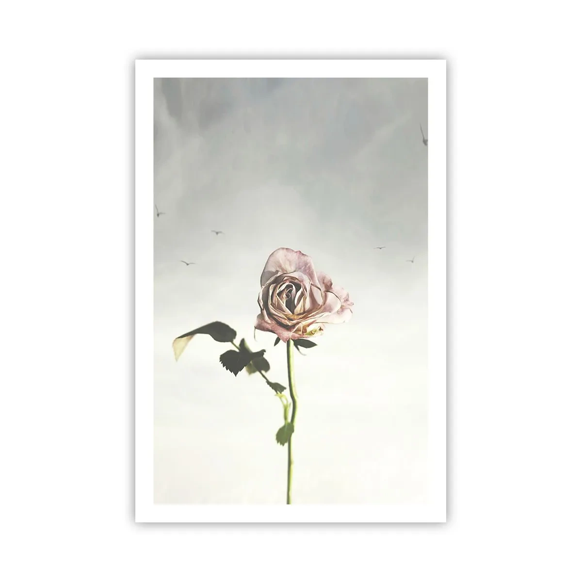 Póster - Bienvenida a la primavera - 61x91 cm