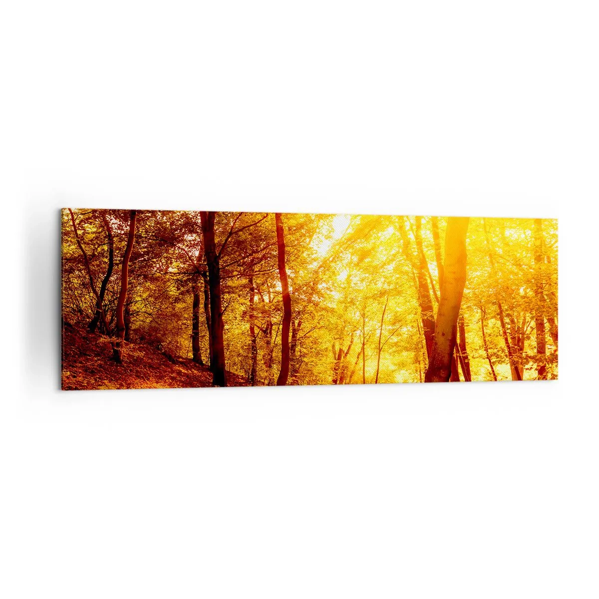 Cuadro sobre lienzo - Impresión de Imagen - Claro de otoño bajo la luz dorada del sol con un sendero forestal - 160x50cm - Hacia un claro de oro - Decoración de pared moderna para salón y dormitorio ARTTOR