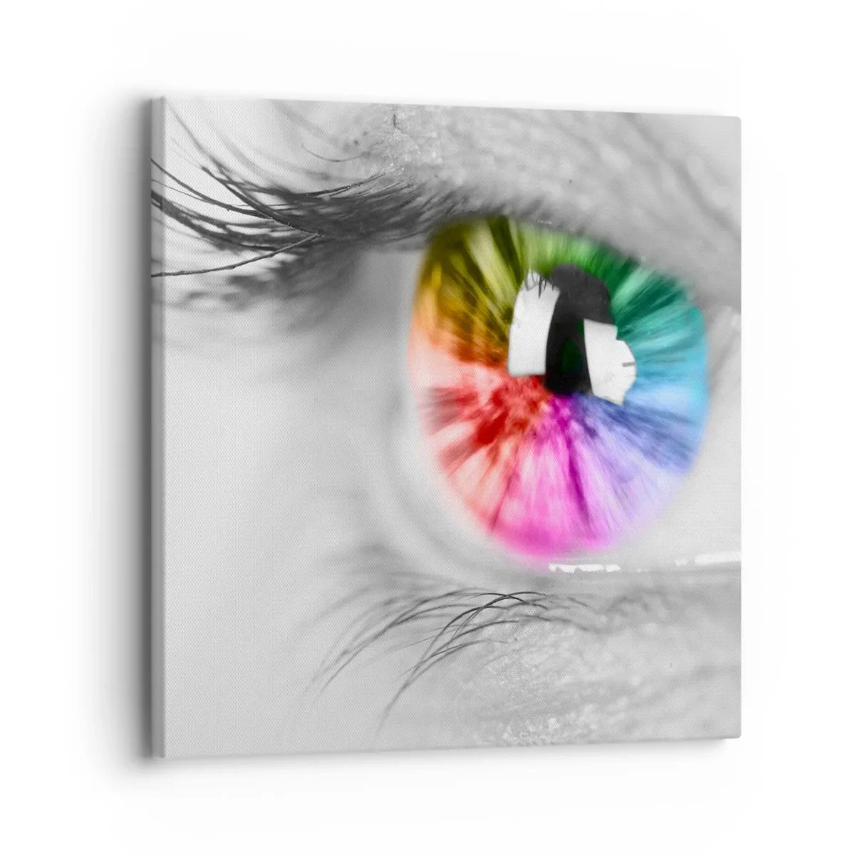 Cuadro sobre lienzo - Impresión de Imagen - Ver el mundo en color - 30x30 cm