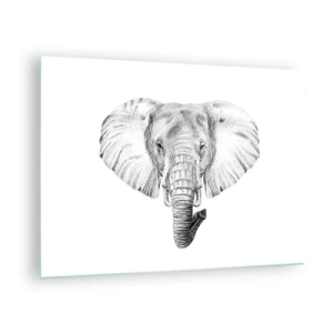Cuadro sobre vidrio - Impresiones sobre Vidrio - Dibujo en blanco y negro de la cabeza de un elefante sobre un fondo blanco. - 70x50cm - Érase una vez un elefante... - Decoración de pared moderna para salón y dormitorio ARTTOR