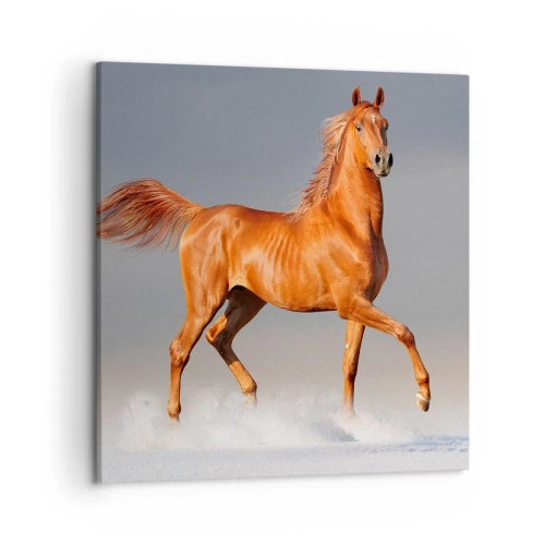 Cuadro sobre lienzo - Impresión de Imagen - Danza al viento - 50x50 cm