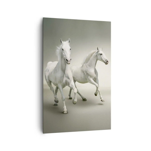Cuadro sobre lienzo - Impresión de Imagen - Dos caballos blancos galopando sobre un fondo claro - 80x120cm - ¡Poder blanco! - Decoración de pared moderna para salón y dormitorio ARTTOR