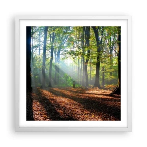 Póster en marco blanco - Resplandores y sombras - 50x50 cm