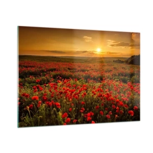 Cuadro sobre vidrio - Impresiones sobre Vidrio - Un campo de amapolas iluminado por los rayos del sol poniente. - 100x70cm - Entre los campos de flores - Decoración de pared moderna para salón y dormitorio ARTTOR