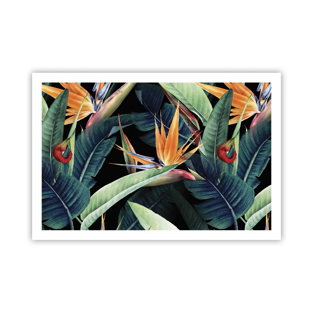 Póster - Flores de llamas de los trópicos - 91x61 cm