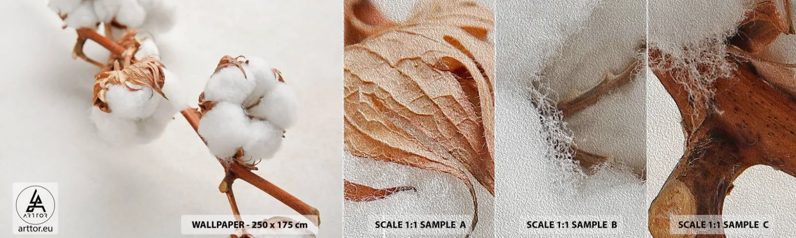 Muestra de fotomural Premium Sand - Un suave tacto - Flor de algodon, Flor, Ramita de algodón - 100x30 cm