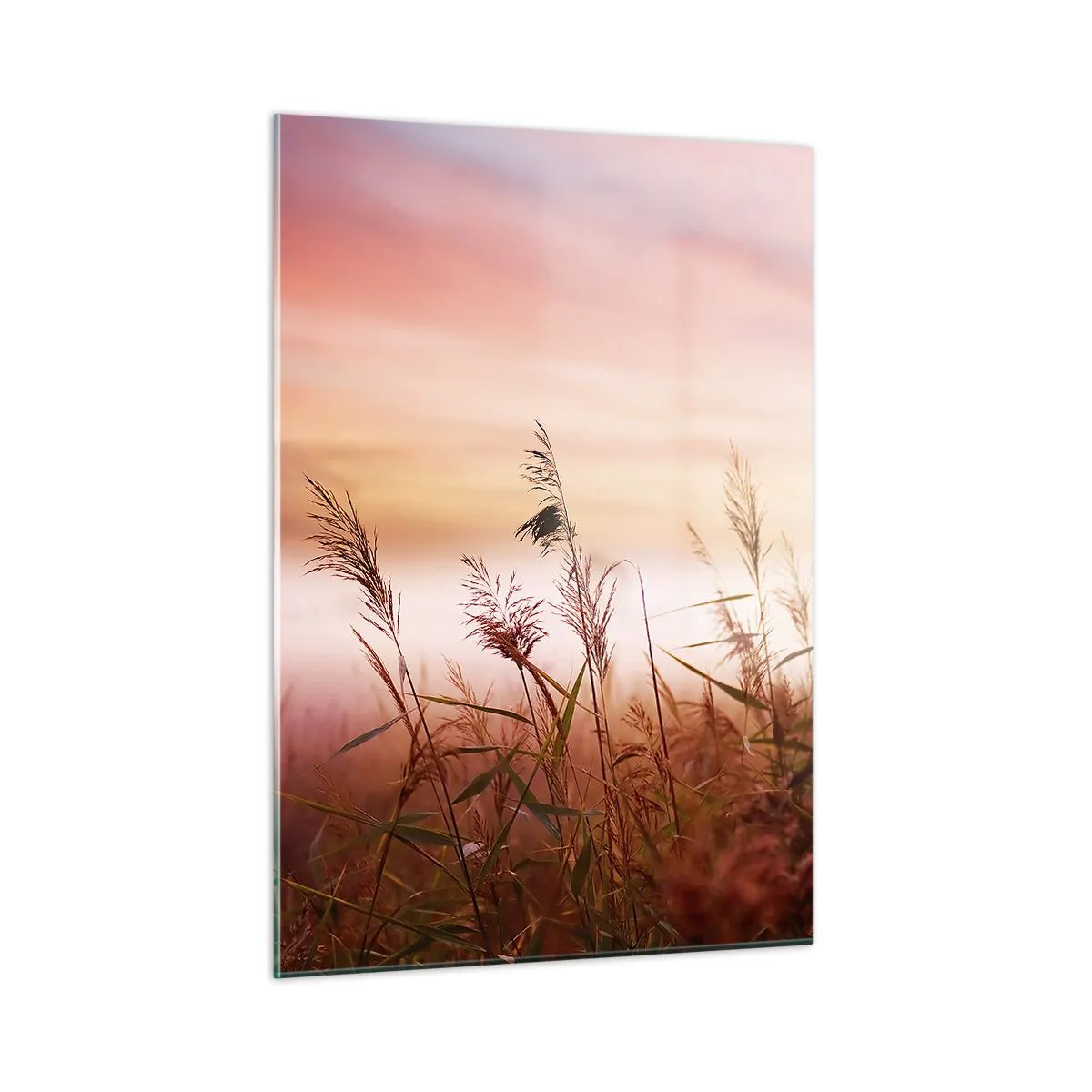 Cuadro sobre vidrio - Impresiones sobre Vidrio - Un prado en la niebla matutina con un cielo pastel. - 50x70cm - El arte del viento - Decoración de pared moderna para salón y dormitorio ARTTOR