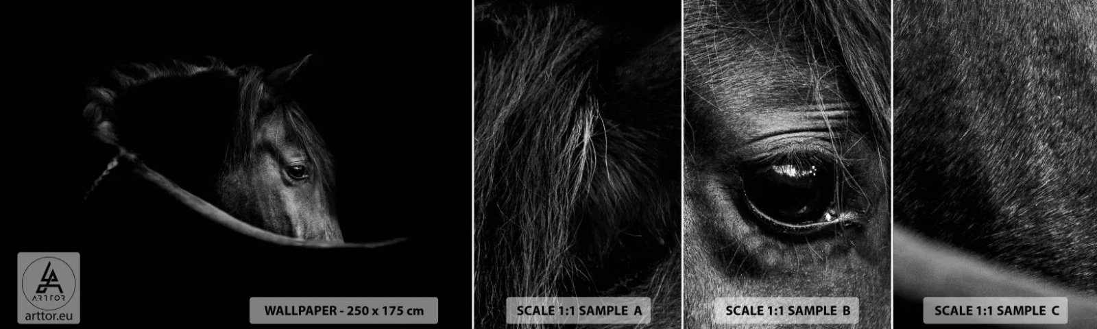 Muestra De Fotomural Standard Eco - Príncipe negro - Caballo, Animal, Artístico - 100x30 cm