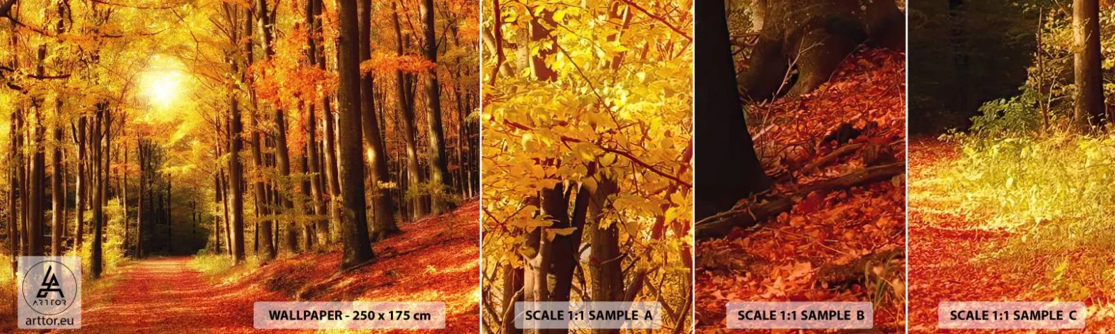 Muestra de fotomural autoadhesivo Deluxe Sticker - Un otoño dorado en una carretera forestal - Otoño, Bosque, Paisaje - 100x30 cm