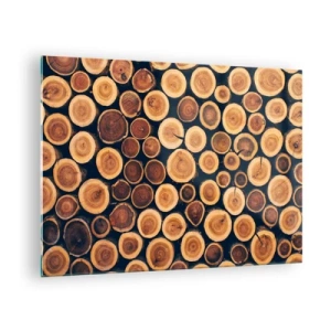Cuadro sobre vidrio - Impresiones sobre Vidrio - Vista de troncos de árboles cortados dispuestos en fila - 70x50cm - ¿Qué edad tengo? - Decoración de pared moderna para salón y dormitorio ARTTOR