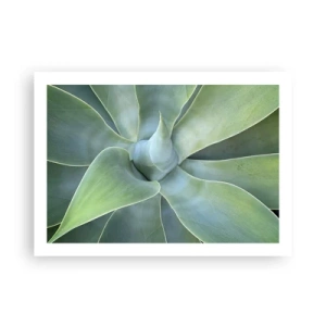 Póster - El nacimiento del verde - 70x50 cm