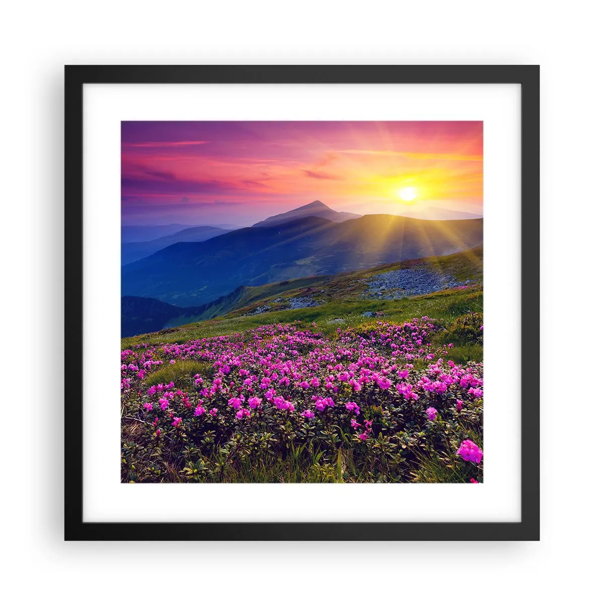 Póster en marco negro - ... Y el aroma a hierbas está por todas partes - 40x40 cm