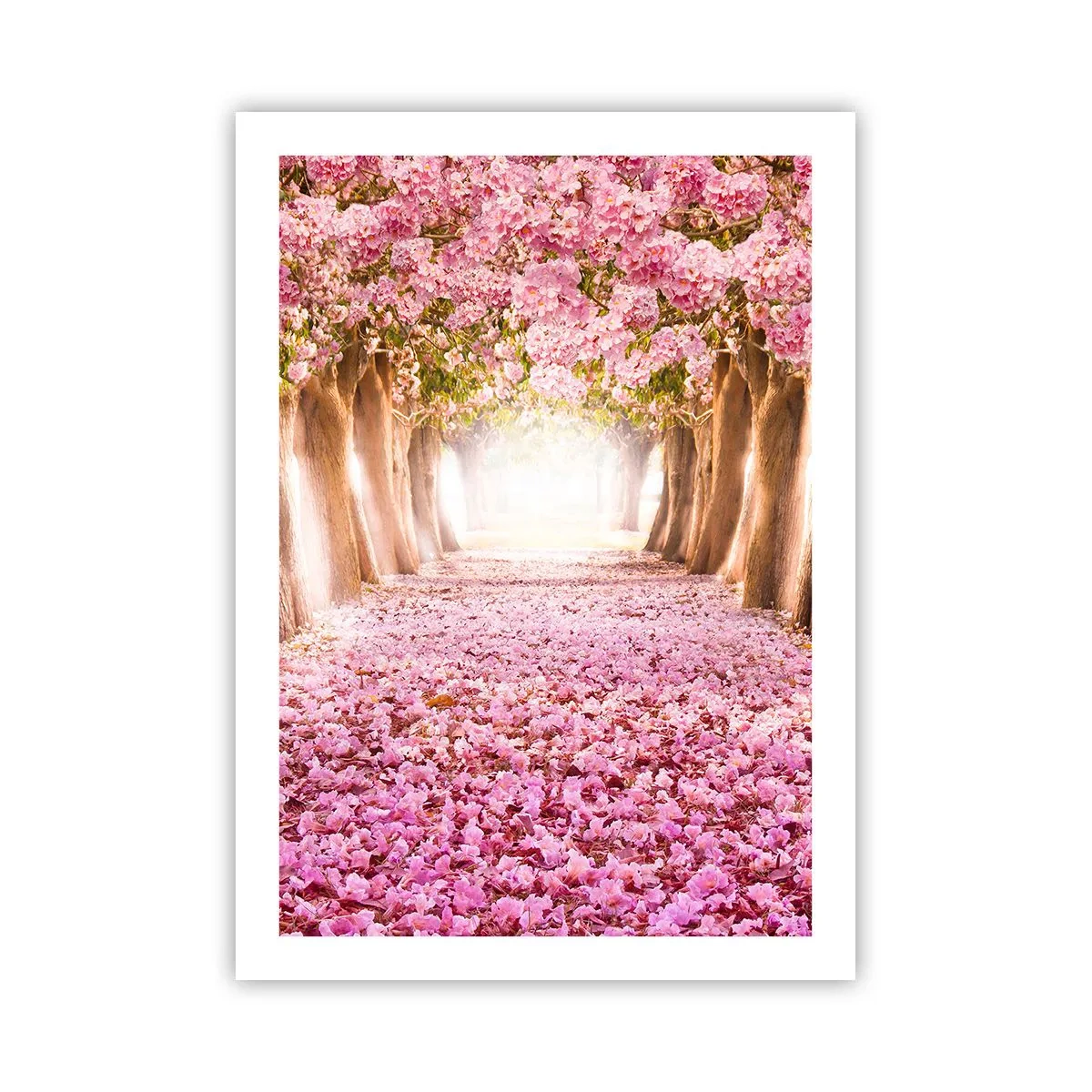 Póster - Una avenida de cerezos con una alfombra floral rosa. - 50x70cm - El camino al paraíso - Decoración de pared moderna para salón y dormitorio ARTTOR