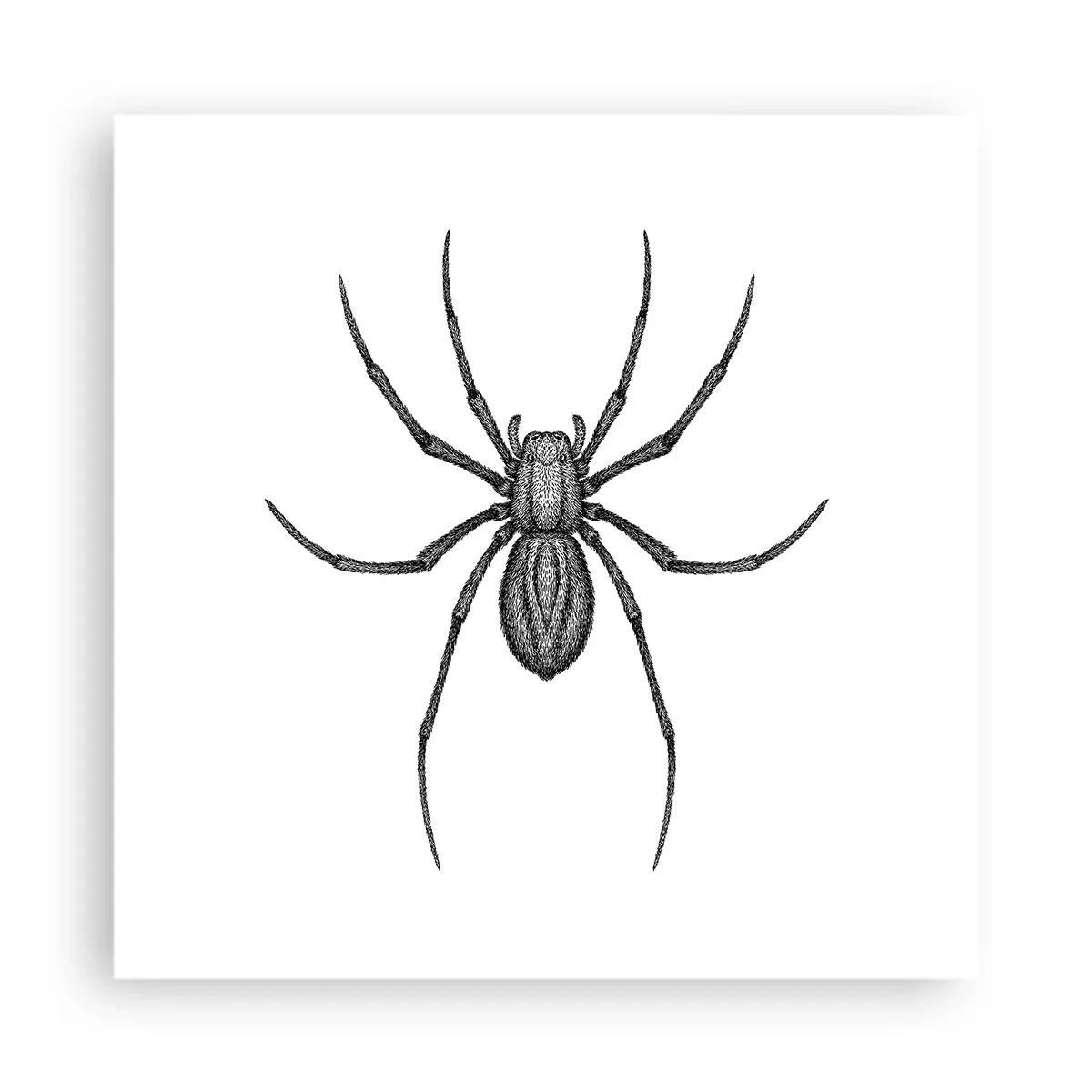 Póster - Precisión inquietante - 40x40 cm