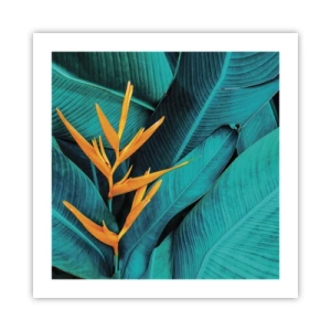 Póster - Flor del Edén - 50x50 cm