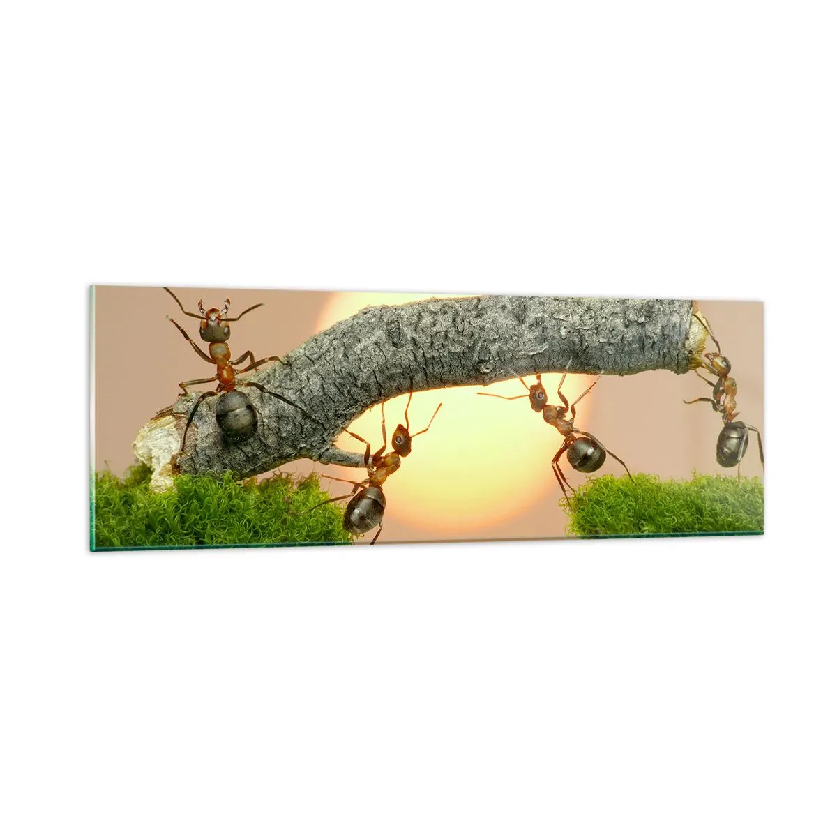 Cuadro sobre vidrio - Impresiones sobre Vidrio - Trabajar juntos con alegría - 90x30 cm