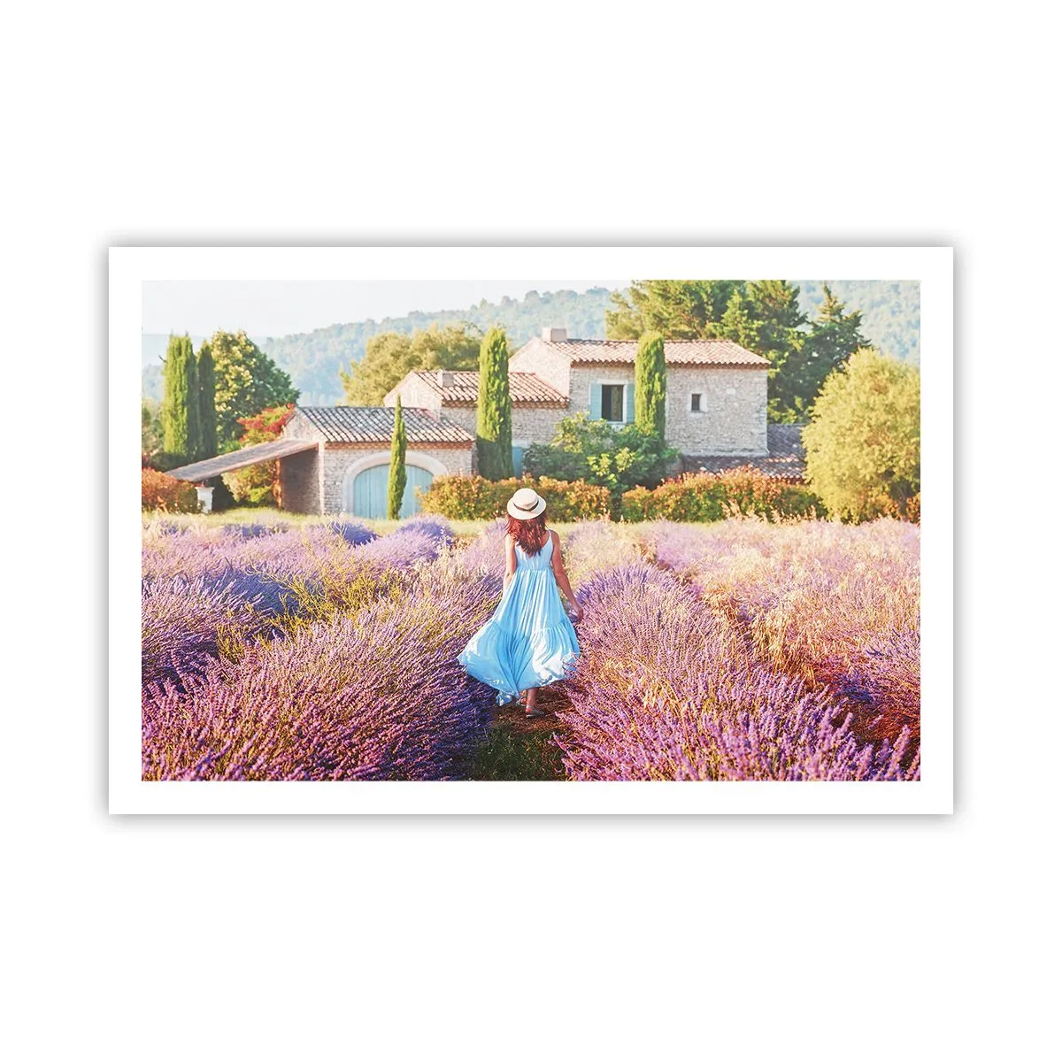 Póster - La chica de la lavanda - 91x61 cm