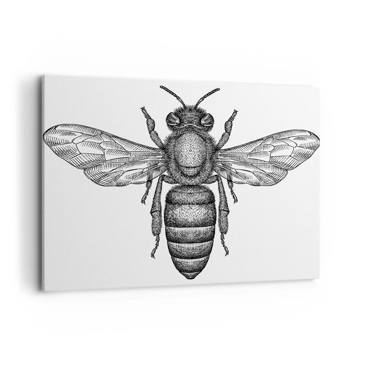 Cuadro sobre lienzo - Impresión de Imagen - Un motivo de abeja de dibujos animados sobre un fondo blanco en un estilo minimalista. - 100x70cm - Retrato de insecto - Decoración de pared moderna para salón y dormitorio ARTTOR