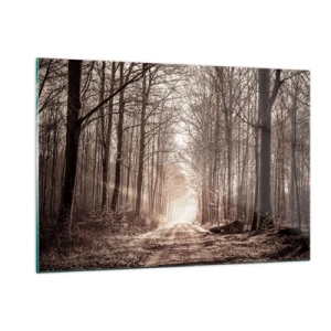 Cuadro sobre vidrio - Impresiones sobre Vidrio - Camino forestal en la niebla matutina - 120x80cm - La catedral del bosque - Decoración de pared moderna para salón y dormitorio ARTTOR
