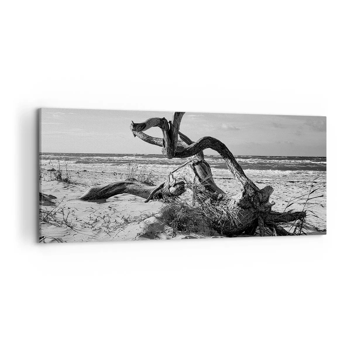 Cuadro sobre lienzo - Impresión de Imagen - Paisaje en blanco y negro con un árbol muerto en la playa. - 120x50cm - Escultura marina - Decoración de pared moderna para salón y dormitorio ARTTOR