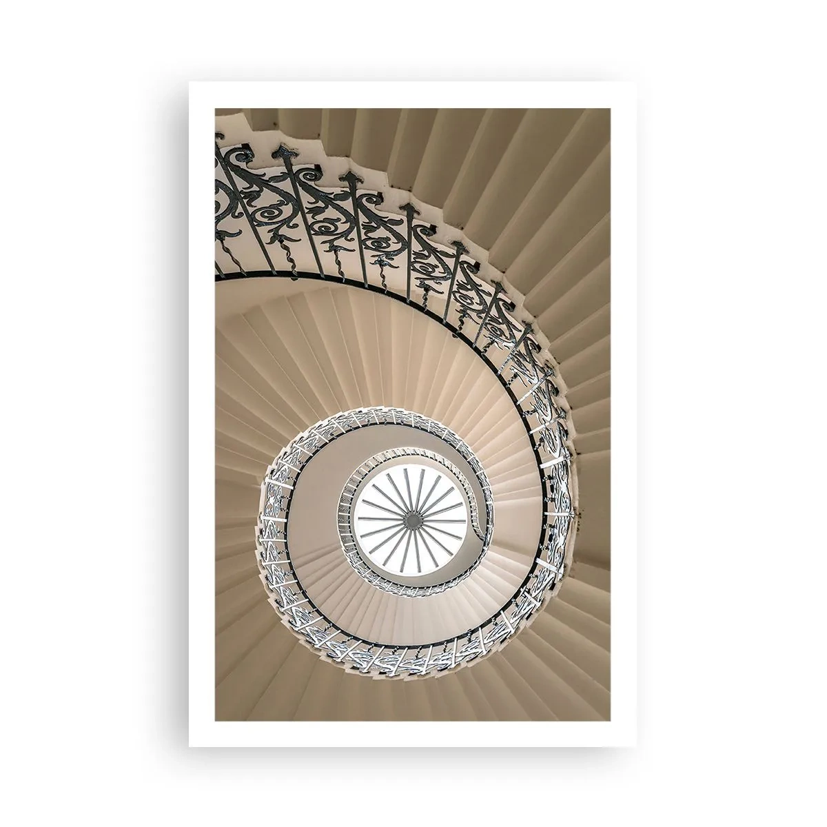 Póster - En el interior de una concha - 61x91 cm