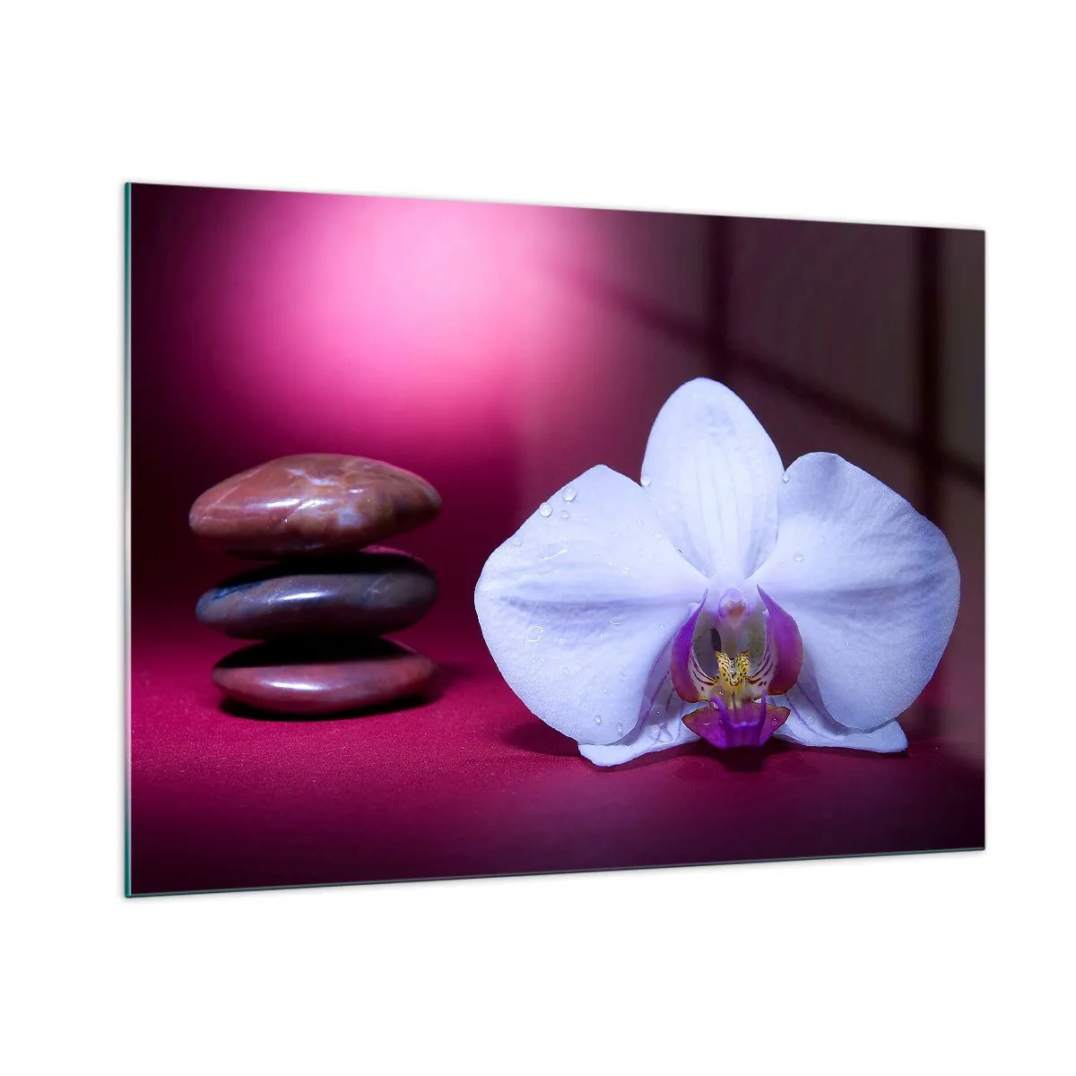 Cuadro sobre vidrio - Impresiones sobre Vidrio - Orquídea blanca y piedras sobre un fondo de luz violeta. - 100x70cm - Estudio de frescura en violeta - Decoración de pared moderna para salón y dormitorio ARTTOR