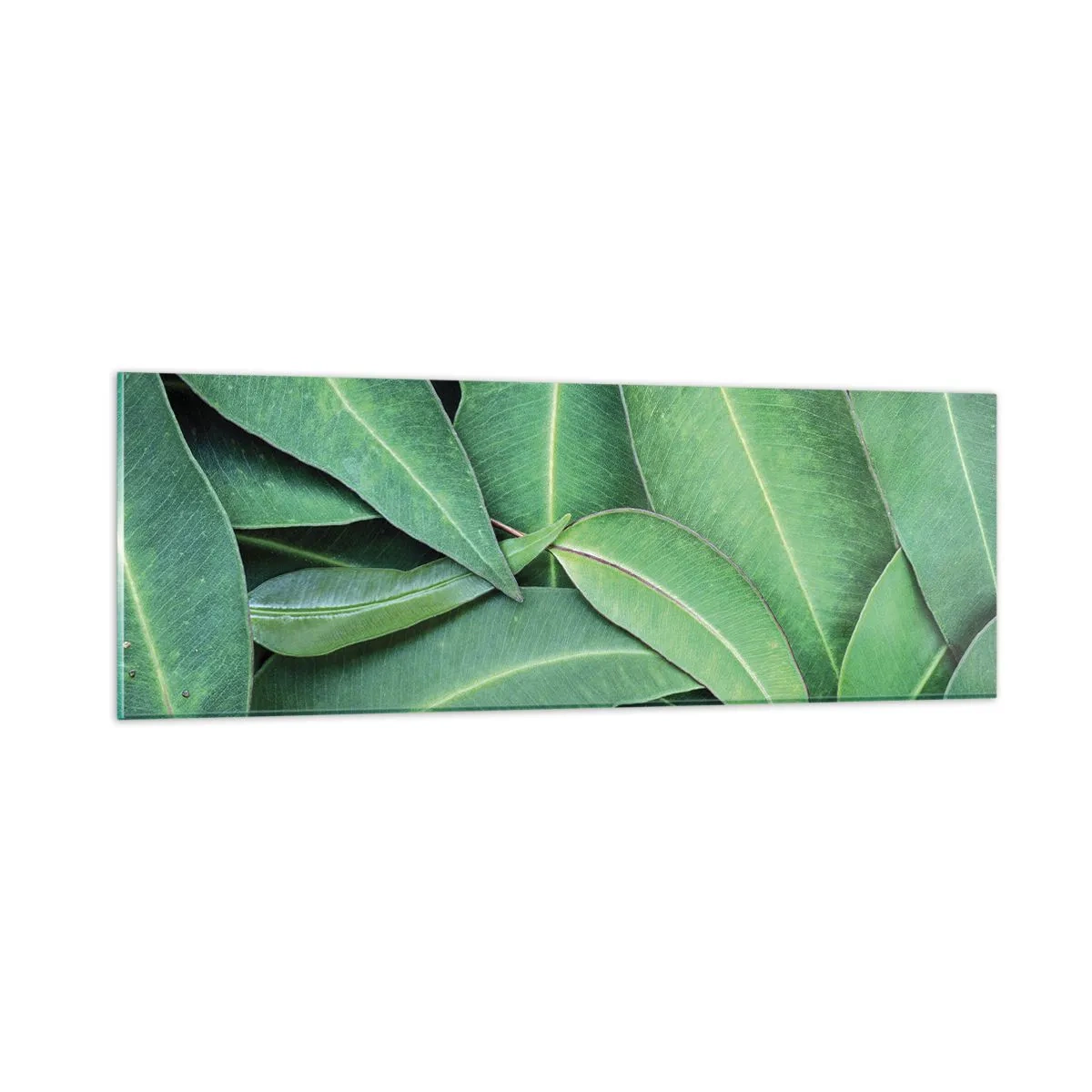 Cuadro sobre vidrio - Impresiones sobre Vidrio - Jugosidad y frescura - 90x30 cm