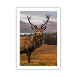 Póster - Fotografía de un ciervo frente a un paisaje montañoso. - 50x70cm - La majestuosidad de la naturaleza - Decoración de pared moderna para salón y dormitorio ARTTOR