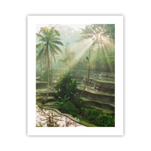 Póster - Crecer bajo el sol - 40x50 cm