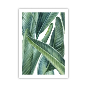 Póster - Hojas de plátano verde en estilo acuarela - 50x70cm - Vegetación en estado puro - Decoración de pared moderna para salón y dormitorio ARTTOR