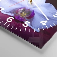 Esfera con numeración