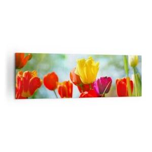 Cuadro sobre lienzo - Impresión de Imagen - Tulipanes coloridos bajo el sol - 160x50cm - Todos los tonos del sol - Decoración de pared moderna para salón y dormitorio ARTTOR
