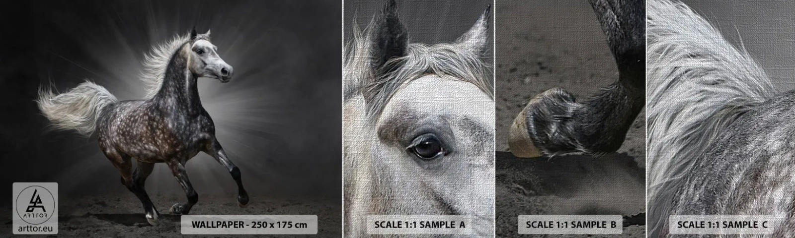 Muestra de fotomural Premium Canvas - El gris es hermoso - animales, caballo arabe, Naturaleza - 100x30 cm