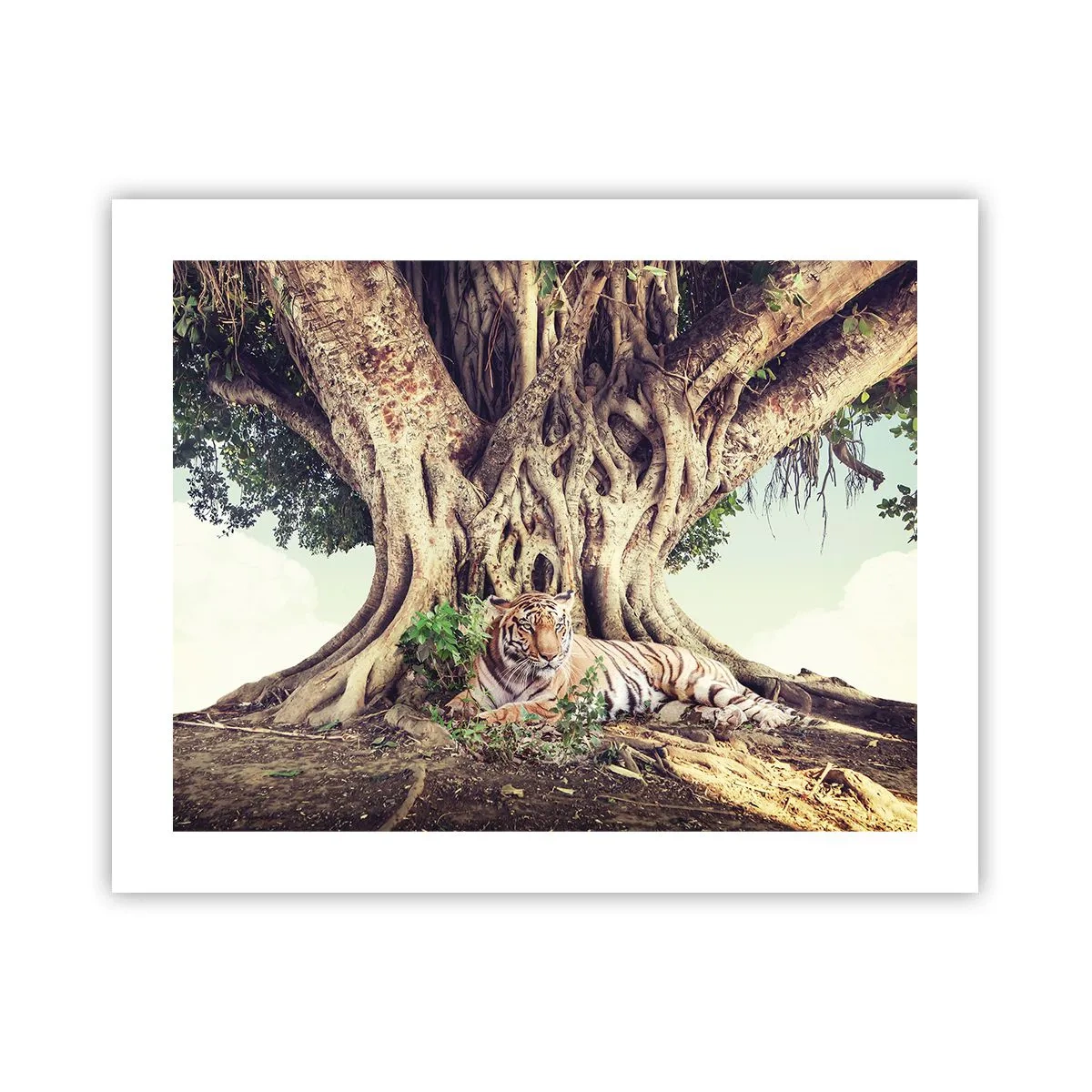 Póster - Una visión desde el Génesis - 50x40 cm