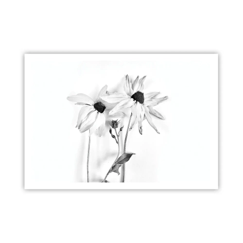 Póster - Flores en blanco y negro con una composición sutil. - 100x70cm - Nadie quiere estar solo - Decoración de pared moderna para salón y dormitorio ARTTOR