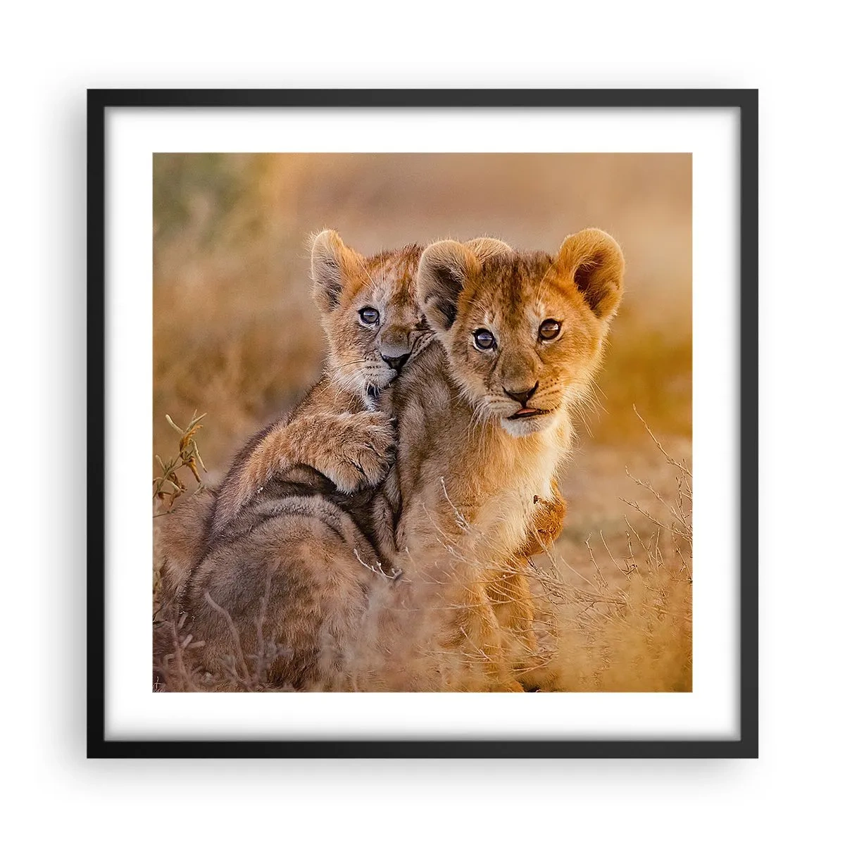 Póster en marco negro - ¡No molestar! Nos estamos divirtiendo - 50x50 cm