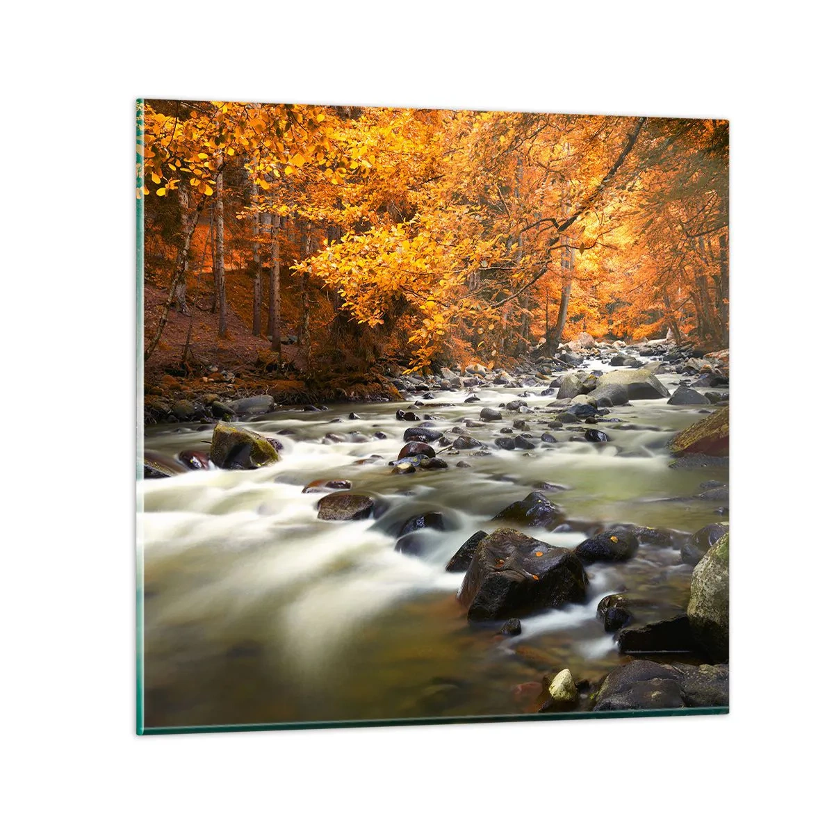 Cuadro sobre vidrio - Impresiones sobre Vidrio - Un arroyo en un bosque dorado - 70x70 cm