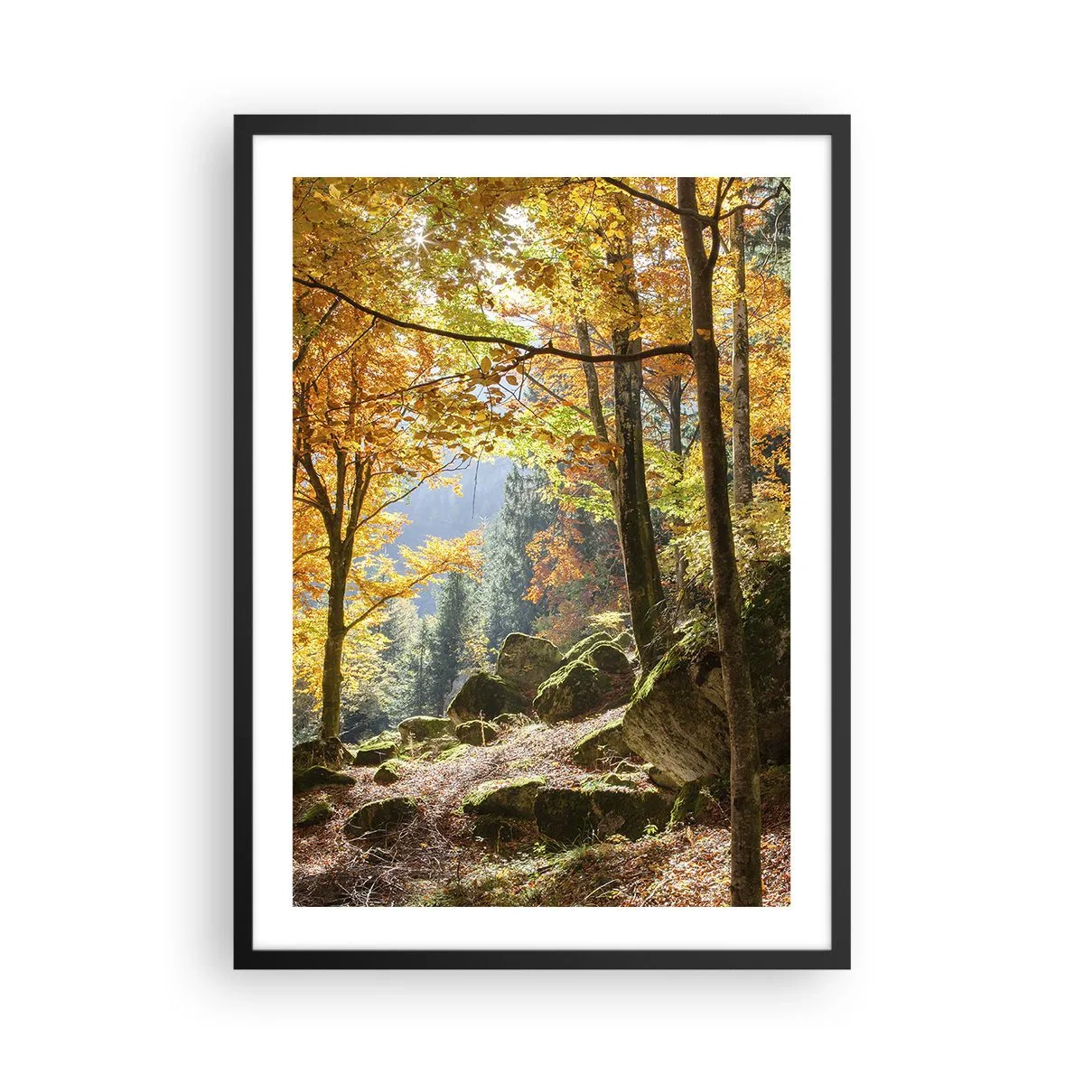 Póster en marco negro - Bosque otoñal con rayos de sol y piedras cubiertas de musgo. - 50x70cm - Tiempo de descanso - Decoración de pared moderna para salón y dormitorio ARTTOR