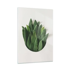 Cuadro sobre vidrio - Impresiones sobre Vidrio - Hojas verdes dispuestas en forma de jarrón sobre un fondo blanco. - 50x70cm - Curiosidad desenfrenada - Decoración de pared moderna para salón y dormitorio ARTTOR