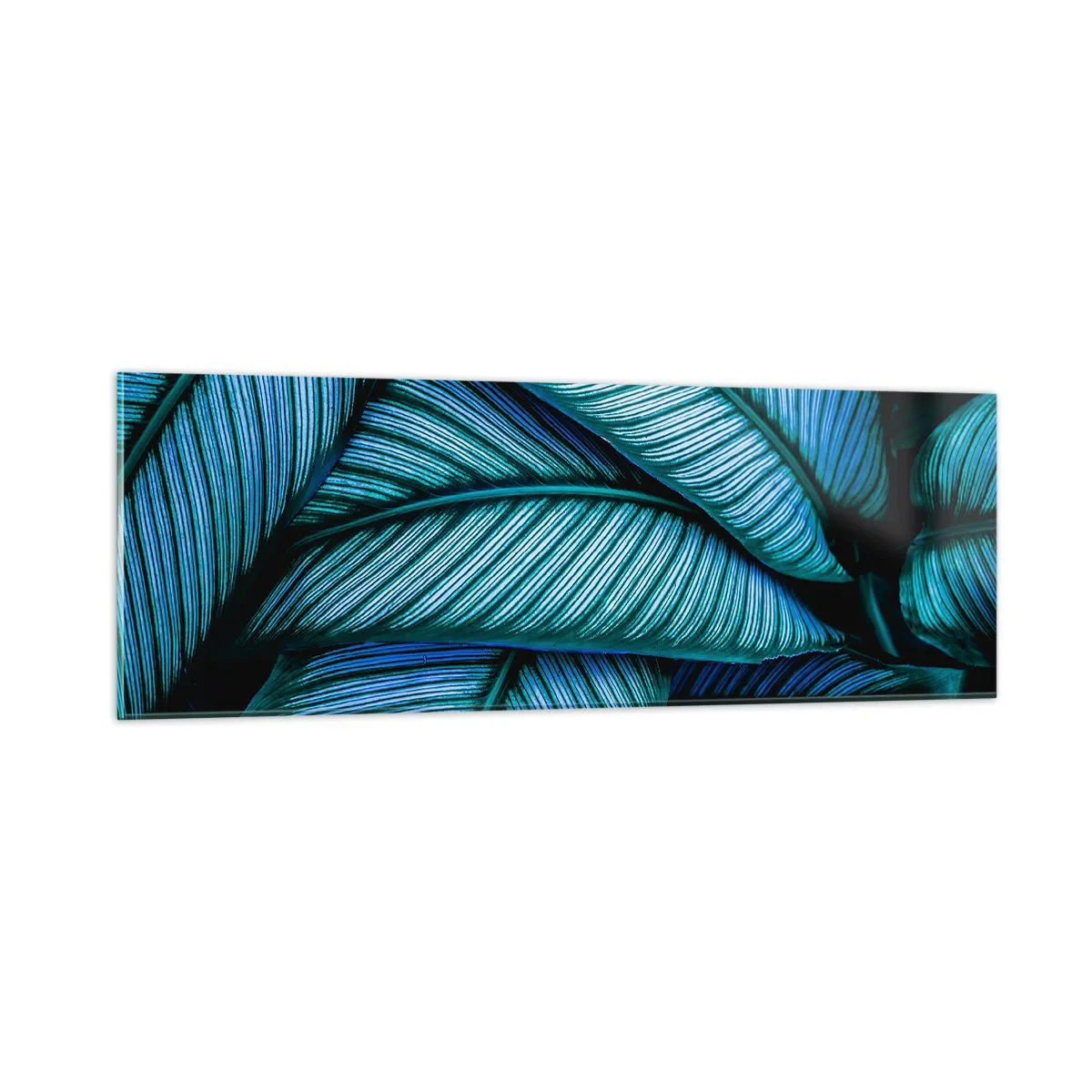 Cuadro sobre vidrio - Impresiones sobre Vidrio - Líneas de vida - 90x30 cm