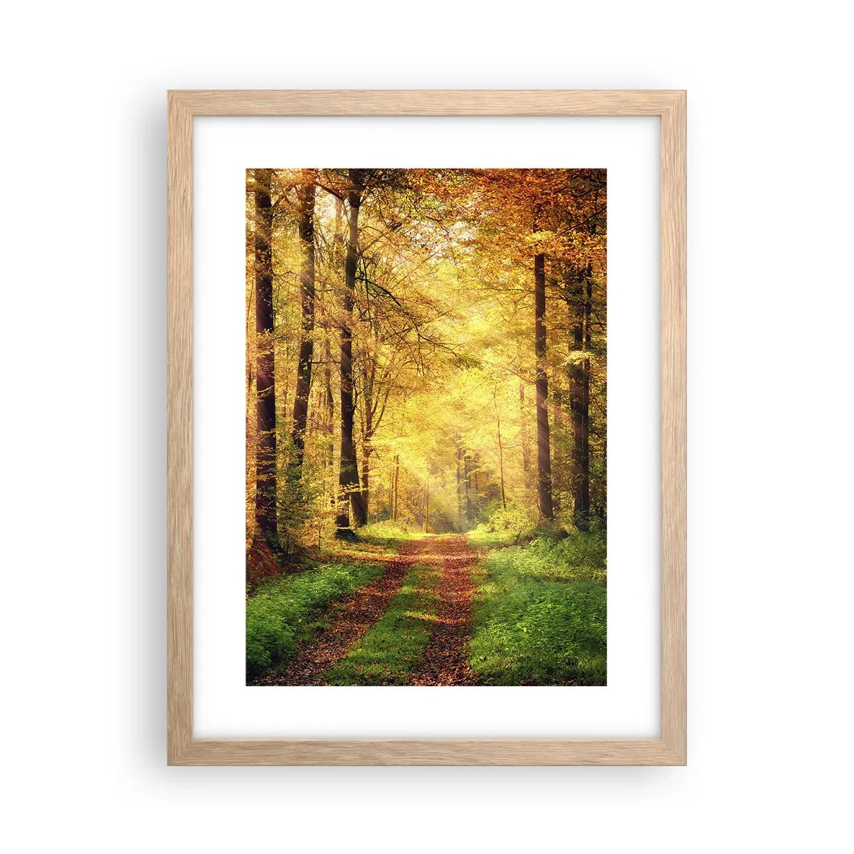 Póster en marco roble claro - Silencio dorado del bosque - 30x40 cm