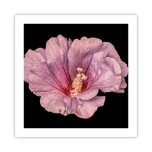 Póster - Directo al corazón - 50x50 cm