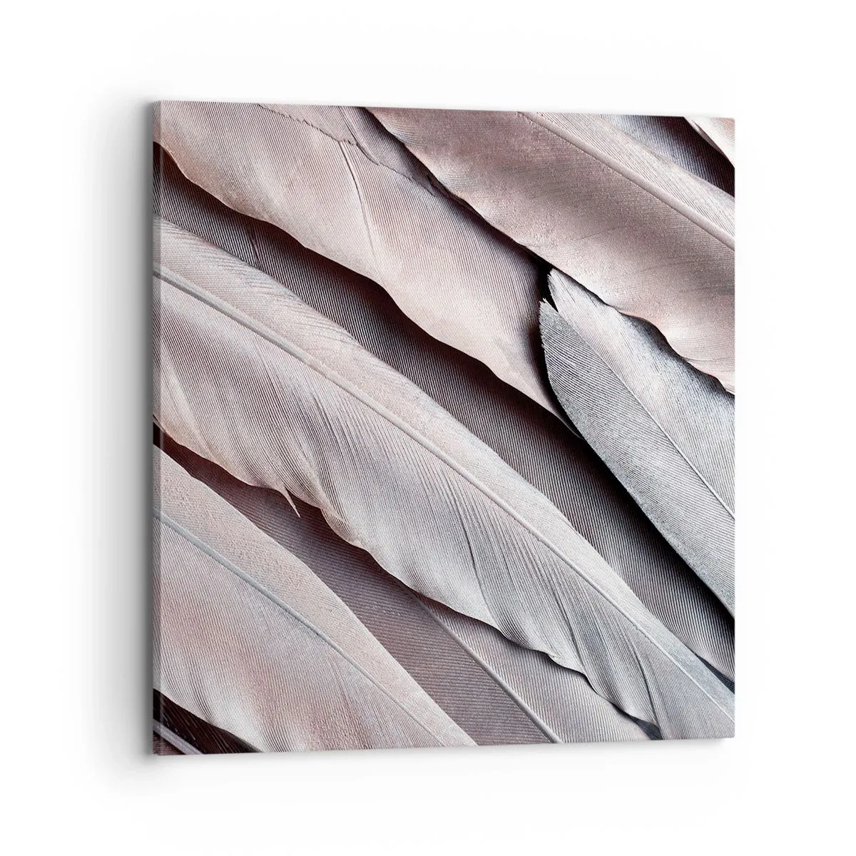 Cuadro sobre lienzo - Impresión de Imagen - En rosa plateado - 70x70 cm