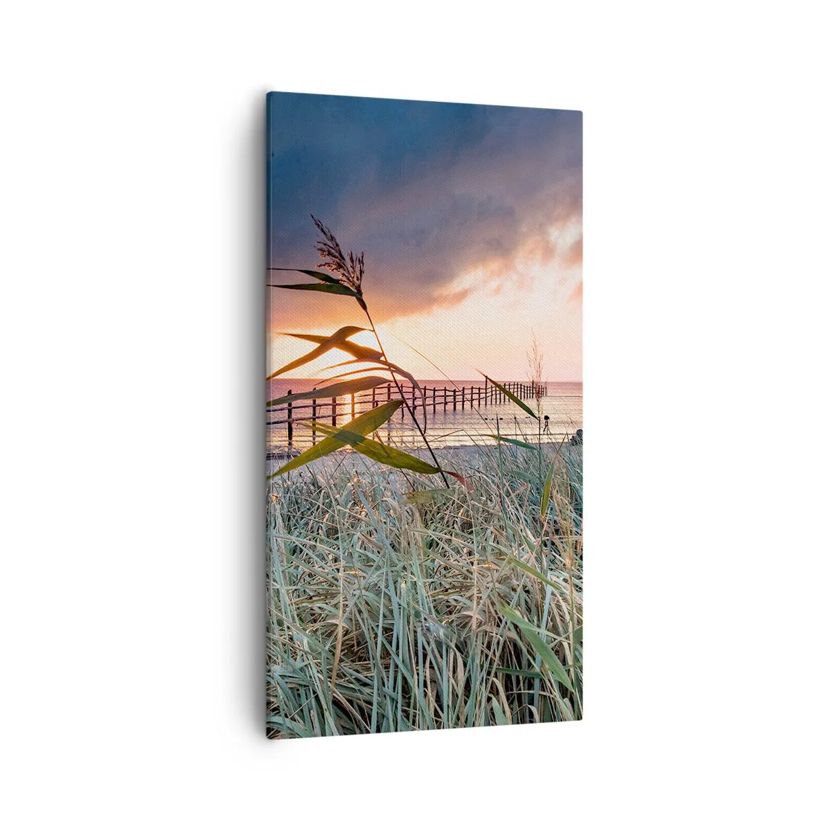 Cuadro sobre lienzo - Impresión de Imagen - Bailando con el viento - 55x100 cm